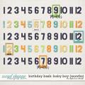 Birthday Bash: Baby Boy {Months} by Digilicious Design