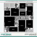 Cindy's Layered Templates - Photo Palooza 84 by Cindy Schneider