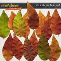 CU Autumn Leaves 3 by Clever Monkey Graphics