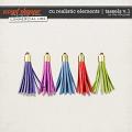 CU REALISTIC ELEMENTS | TASSELS Vol.1 by The Nifty Pixel