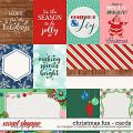 Christmas Fun Cards by Meagan's Creations and Digital Scrapbook Ingredients