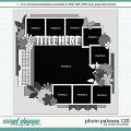 Cindy's Layered Templates - Photo Palooza 120 by Cindy Schneider