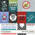 Gno-vid - Cards 1 by WendyP Designs
