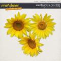 Sunflowers {Vol 01} by Christine Mortimer