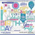 Cindy's Wordy Pack: Birthday 1 by Cindy Schneider