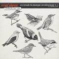 CU BRUSH & STAMPS | ORNITHOLOGY V.1 by The Nifty Pixel