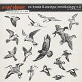 CU BRUSH & STAMPS | ORNITHOLOGY V.2 by The Nifty Pixel