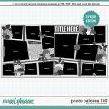 Cindy's Layered Templates - Photo Palooza 160 by Cindy Schneider