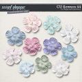 CU Flowers 44 by Blagovesta Gosheva