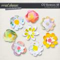 CU Flowers 49 by Blagovesta Gosheva