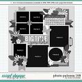 Cindy's Layered Templates - Photo Palooza 169 by Cindy Schneider