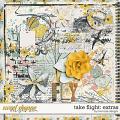 Take Flight: Extras by River Rose Designs