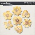 CU Flowers 62 by Blagovesta Gosheva