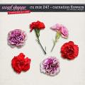 CU mix 247 - carnation flowers by WendyP Designs
