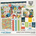 Today's Your Birthday Bundle by LJS Designs