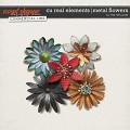 CU REALISTIC ELEMENTS | METAL FLOWERS V.1 by The Nifty Pixel