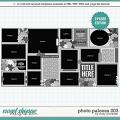 Cindy's Layered Templates - Photo Palooza 203 by Cindy Schneider