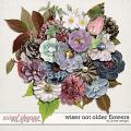 Wiser not Older Flowers by JoCee Designs