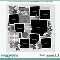 Cindy's Layered Templates - Photo Palooza 210 by Cindy Schneider