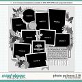 Cindy's Layered Templates - Photo Palooza 216 by Cindy Schneider