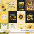 Follow the Sun: Cards by Kristin Cronin-Barrow 