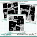 Cindy's Layered Templates - Photo Palooza Bundle 77 by Cindy Schneider