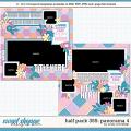 Cindy's Layered Templates - Half Pack 355: Panorama 4 by Cindy Schneider