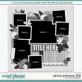 Cindy's Layered Templates - Photo Palooza 252 by Cindy Schneider