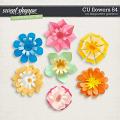 CU Flowers 84 by Blagovesta Gosheva