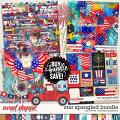 Star Spangled Bundle by Clever Monkey Graphics 