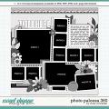 Cindy's Layered Templates - Photo Palooza 360 by Cindy Schneider