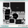 Cindy's Layered Templates - Photo Palooza 368 by Cindy Schneider