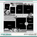 Cindy's Layered Templates - Photo Palooza 403 by Cindy Schneider