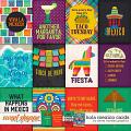 Hola Mexico Cards by Clever Monkey Graphics 