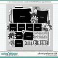 Cindy's Layered Templates - Photo Palooza 419 by Cindy Schneider