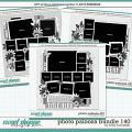 Cindy's Layered Templates - Photo Palooza Bundle 140 by Cindy Schneider