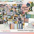 Birthday Babe Bundle by Studio Liv