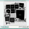 Cindy's Layered Templates - Photo Palooza 425 by Cindy Schneider