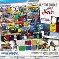 Storm Chaser: Collection Bundle by Meagan's Creations