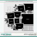 Cindy's Layered Templates - Photo Palooza 434 by Cindy Schneider