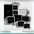 Cindy's Layered Templates - Photo Palooza 435 by Cindy Schneider