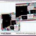 Cindy's Layered Templates - Half Pack 424: Photo Focus 135 by Cindy Schneider