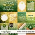 A Creek Tale: Sunlit Forests Cards by Kristin Cronin-Barrow