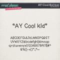 CY AY Cool Kid font by Amanda Yi