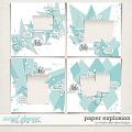 Paper Explosion by Fiddle-Dee-Dee Designs