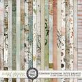 Creative Chronicles: Timeless Treasure Papers by Little Butterfly Wings & Studio Basic
