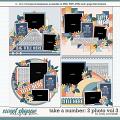 Cindy's Layered Templates - Take a Number: 2 Photo Vol. 3 by Cindy Schneider