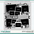 Cindy's Layered Templates - Photo Palooza 437 by Cindy Schneider