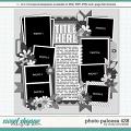 Cindy's Layered Templates - Photo Palooza 438 by Cindy Schneider