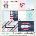 True North Cards #3 by Traci Reed